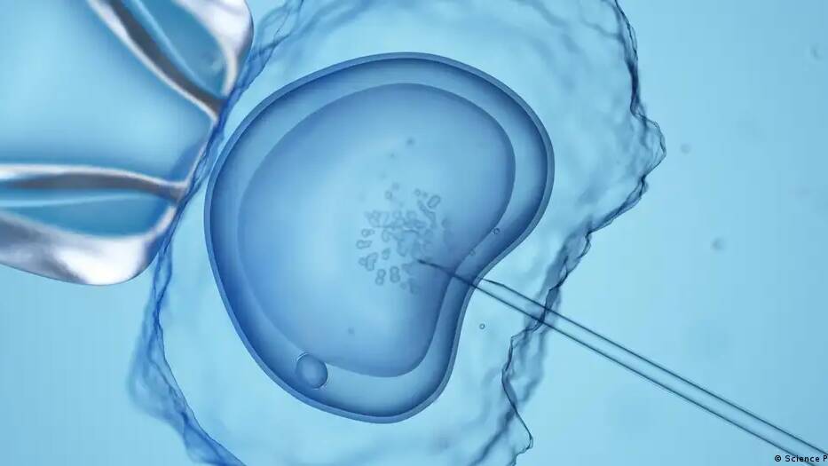 Reproductive medicine laws in Germany 'shockingly unjust'