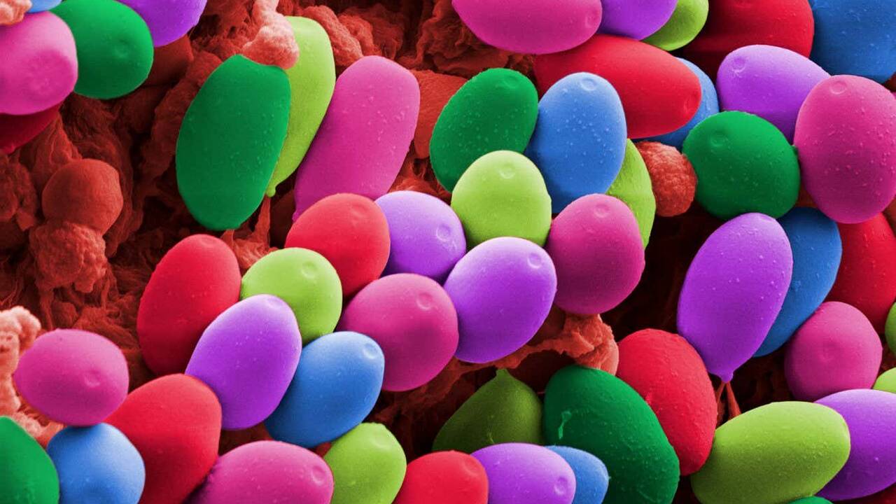 Psychedelics may be no better than antidepressants for depression