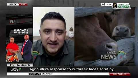 Foot-And-Mouth | Southern African Agricultural Initiative says not enough cattle vaccinated