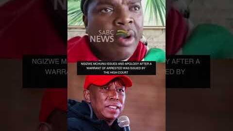 Ngizwe Mchunu issues apology