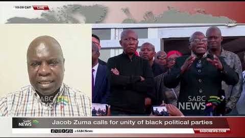 Jacob Zuma calls for unity of black political parties: Dr Levy Ndou weighs in