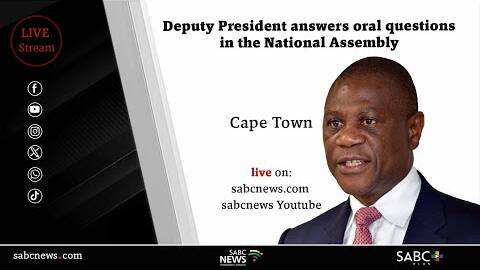 Deputy President Paul Mashatile answers oral questions in the National Assembly