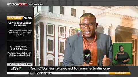 Ad Hoc Committee | Paul O&rsquo;Sullivan set to resume testimony on Wednesday - Mkhokheli Bandla reports