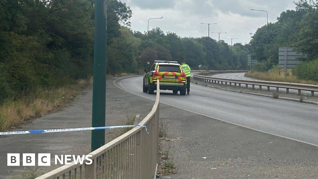 Multiple deaths after crash between police vehicle and car