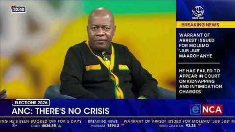 Mzwandile Masina says there is no crisis as ANC delays mayoral candidate announcements