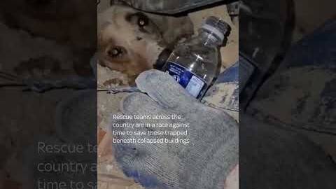Moment firefighters save puppy from rubble in Venezuela