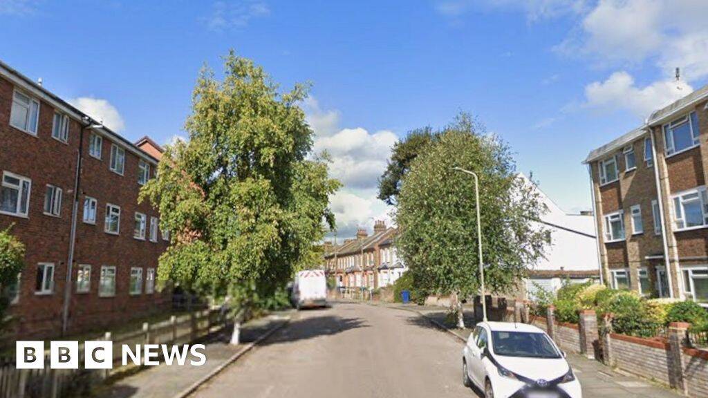 Woman, 19, dies after gunshots heard at house