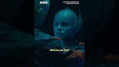 Barclay and Salt have a moment... - BBC