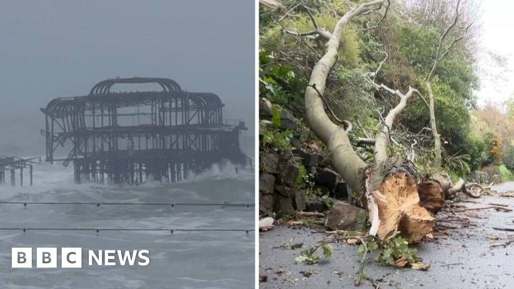 Watch: Trees ripped up as Storm Austen batters Britain
