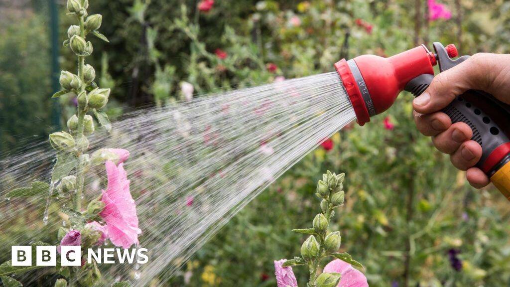 Hosepipe ban in force for millions of households - is your area affected?