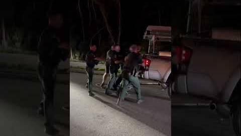 Eight men lift 43-stone alligator off street