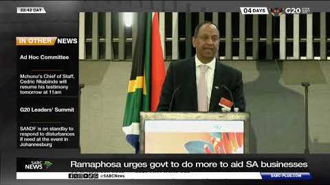 Ramaphosa urges govt to do more to assist SA businesses