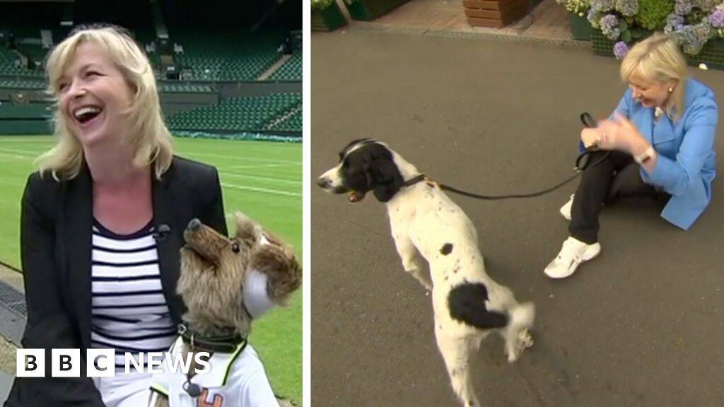 Watch: Carol Kirkwood's funniest moments on air