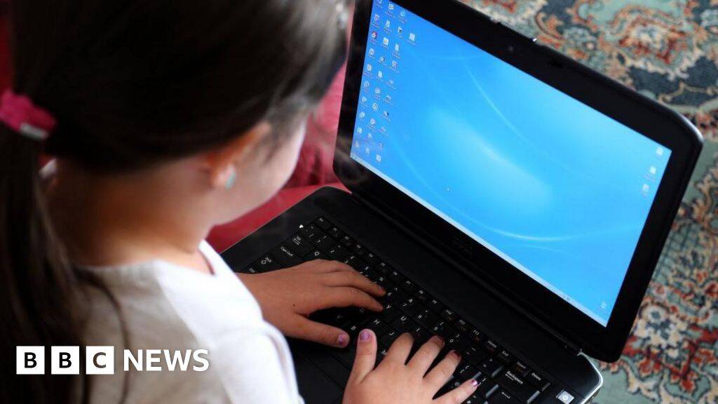 Call for parents to teach online privacy like road safety