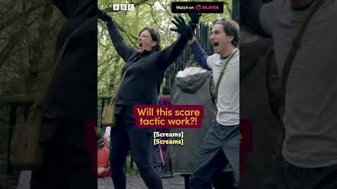 Miranda Hart and Sebastian Croft pretend to scare off bears 🤣 - BBC