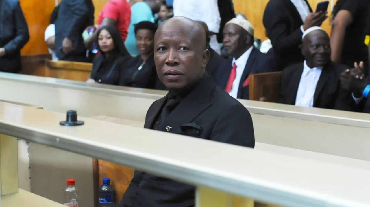 Here&rsquo;s why social worker thinks Malema should get suspended fine instead of jail time