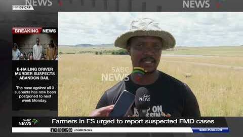 FS Farmers urged to report suspected FMD cases