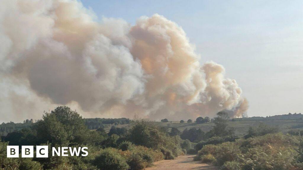 Vehicle fire spreads to heathland as crews fight blaze