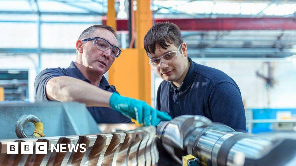 What is an apprenticeship and what job could I get?