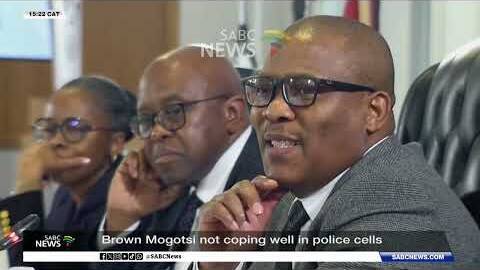 Brown Mogotsi 'not coping well' in police custody: Lawyer