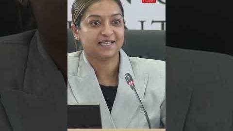 Drushantha Ramsamy tells Madlanga Commission about warning she received.