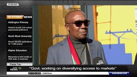 Government working on diversifying access to markets: Minister Parks Tau