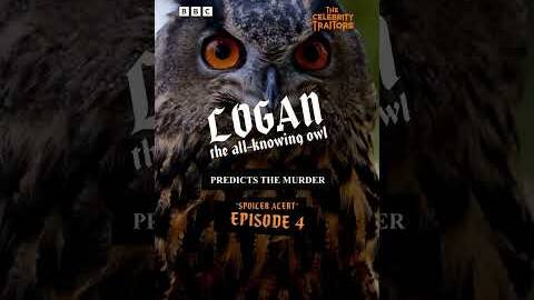 Logan the owl predicts The Celebrity Traitors: Week 2 🦉 - BBC