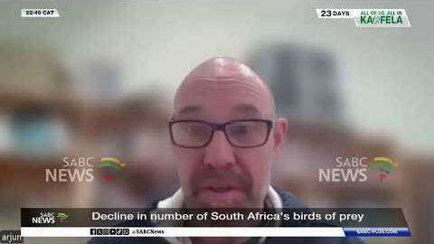 Decline in number of South Africa's birds of prey