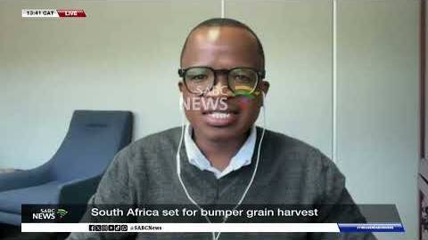 South Africa set for bumper grain harvest