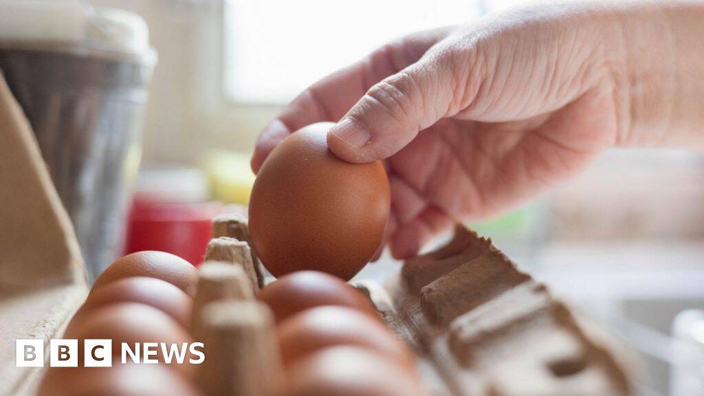 Salmonella outbreak: What we know so far
