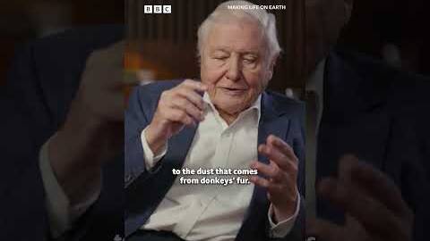 Sir David Attenborough's animal allergy