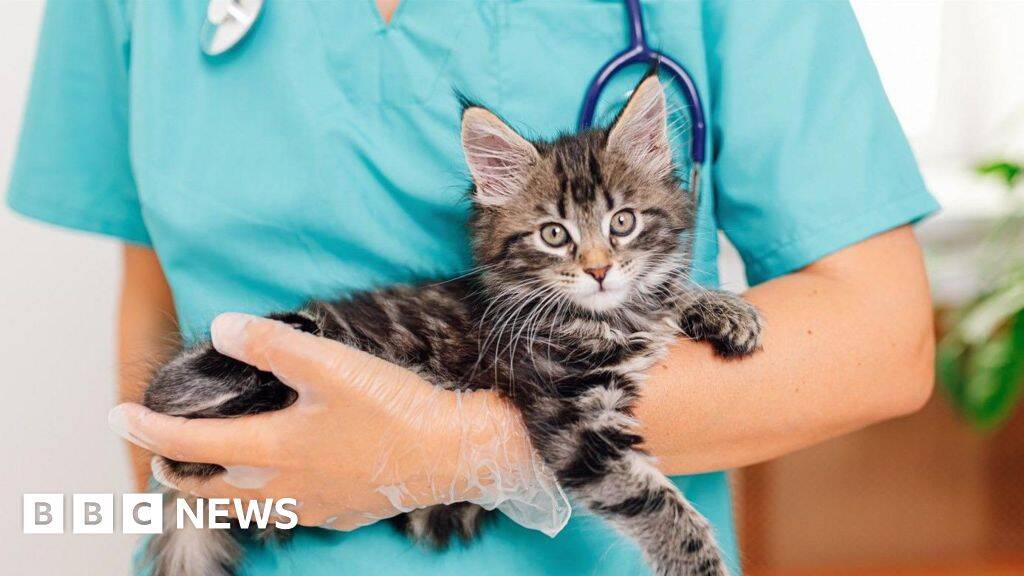 Vet prescription fees to be capped at &pound;21, watchdog says