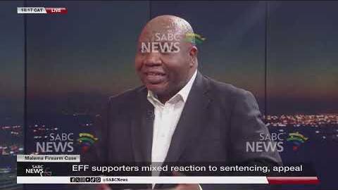 Malema Firearm Case | Malema's political journey amid legal woes - Mzwandile Mbeje