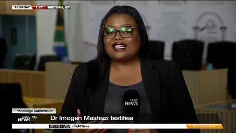 Madlanga Commission I Dr Imogen Mashazi reveals sexual harassment complaints from female officers