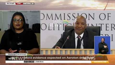 Madlanga Commission | New witness Lieutenant-Colonel Nkoana Joseph Sebola to testify