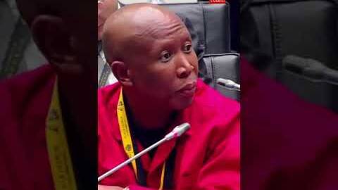'The EFF rejects your apology' - Malema