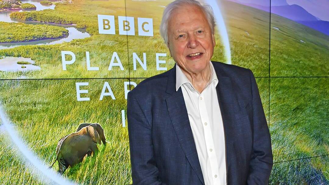 Sir David Attenborough turns 100: The world celebrates a century of the climate champion