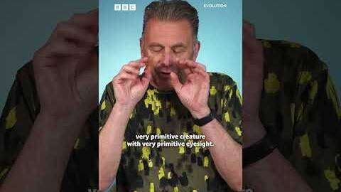 Chris Packhams&rsquo;s favourite animal encounter of the series