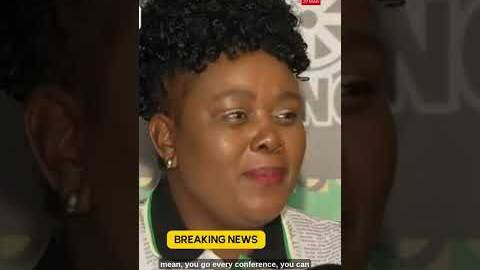 ANC EC conference put on hold until further notice amid legal wrangles