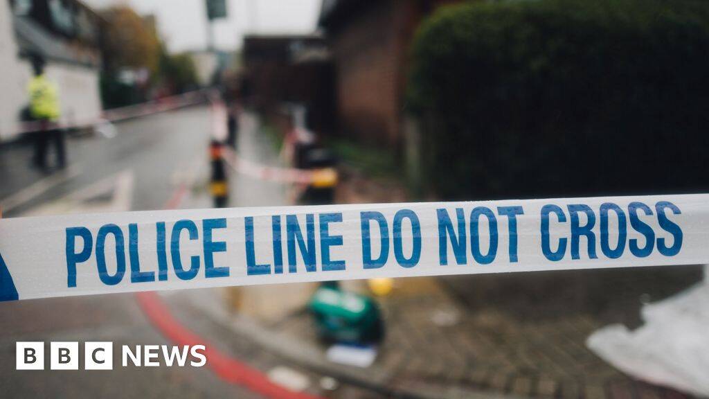 Teenage boy dies after stabbing in Luton as police launch murder investigation