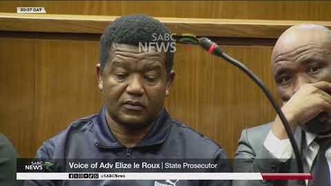 'Cat' Matlala Trial | State schedules 48 witnesses to prove its case