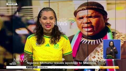 Ngizwe Mchunu  apologises to Malema after court finds him in contempt