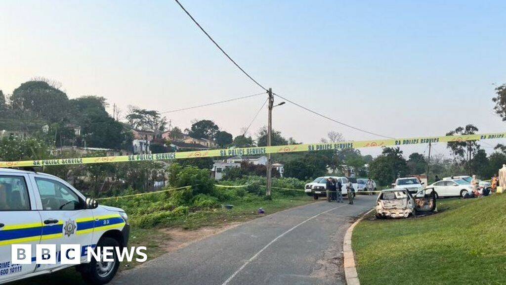 Eleven killed in mass shooting at house in South Africa