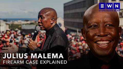 Julius Malema firearm case explained