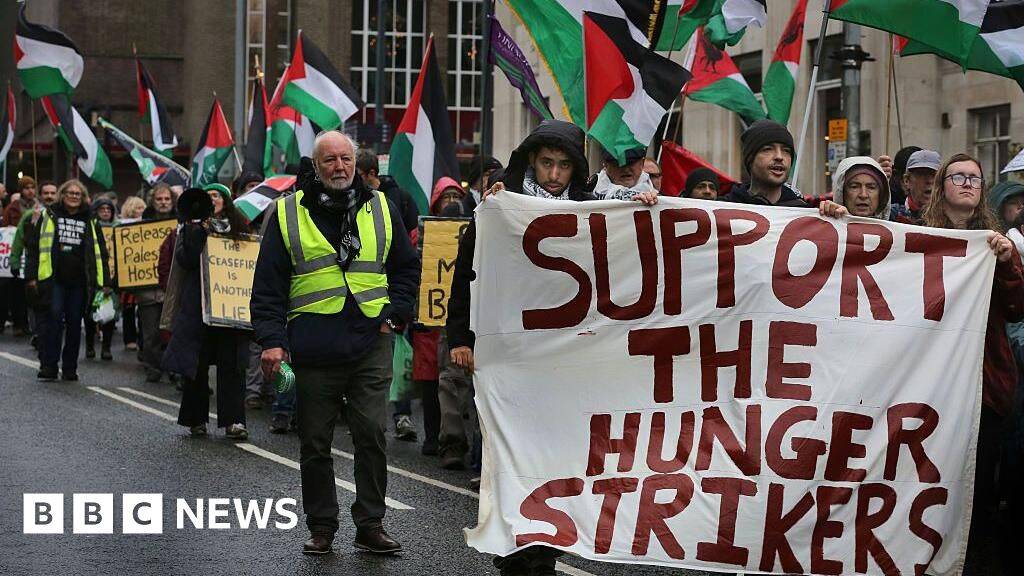 Palestine Action hunger strikers call for urgent meeting with ministers