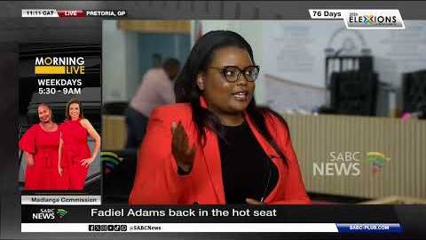 Madlanga Commissionn | Fadiel Adams back in the hot seat