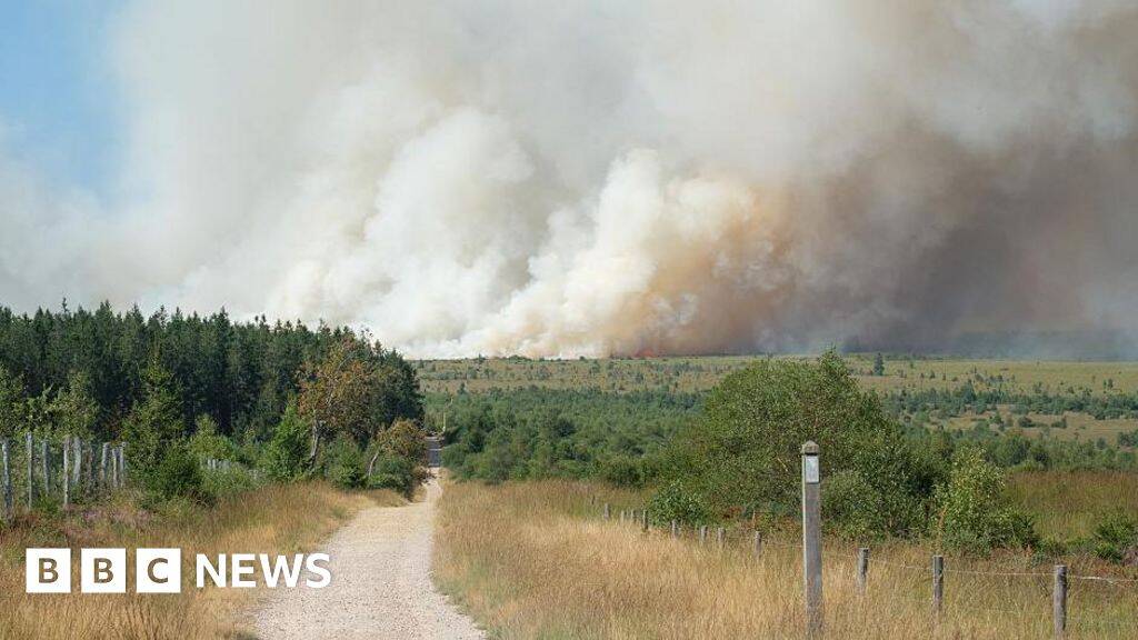 Firefighters battle wildfire tearing through Belgian nature reserve