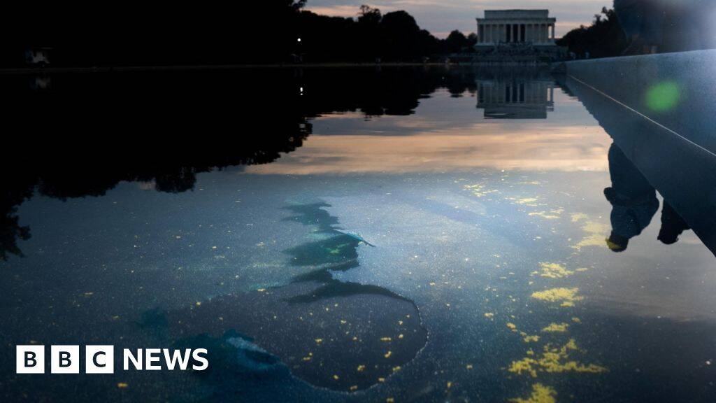 Reflecting Pool liner cut with sharp knife or razor, National Park Service says