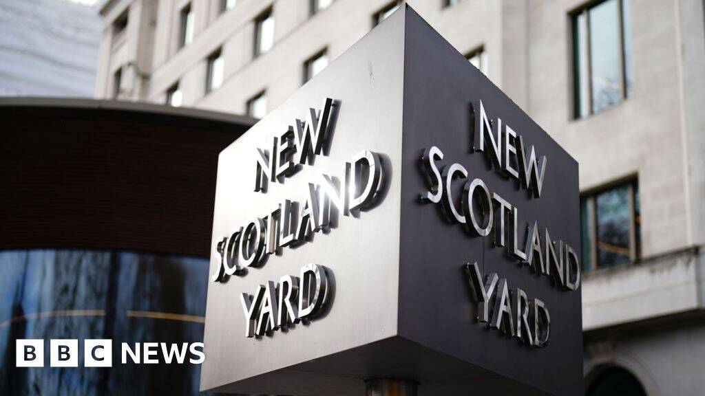 No further action against government adviser's wife over Palestine Action post, police say