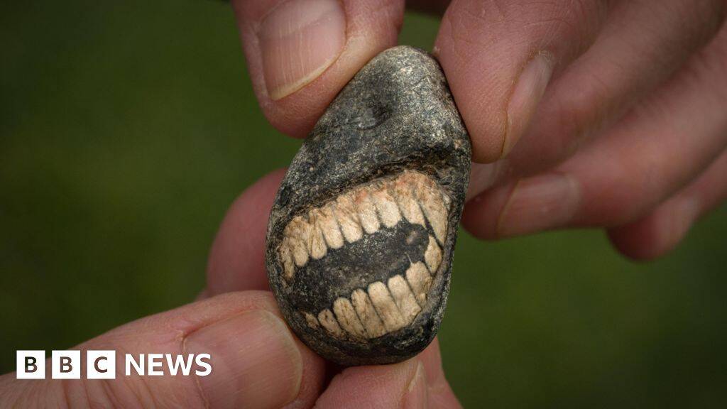 'Smiling' fossil discovered on Holy Island